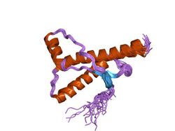 PDB 1h0l EBI.jpg