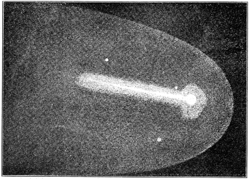 File:PSM V76 D018 Halley comet in 1835.png