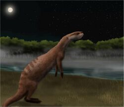 Potamotherium.jpg