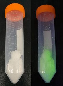Terbium nitrate UV comparison.jpg
