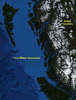 Tuzo Wilson Seamounts.jpg