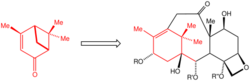 WenderTaxol.svg