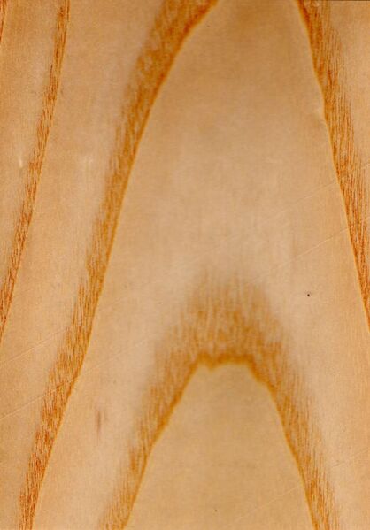 File:Wood Fraxinus excelsior.jpg