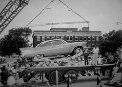 'Miss Belvedere' before burial, 1957.jpg