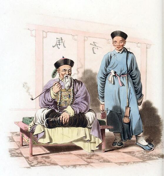 File:A mandarin attended by a domestic.jpg