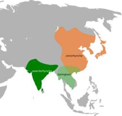 Anas poecilorhyncha map.svg