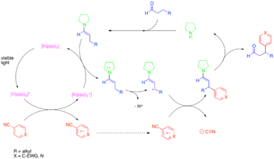 Diagram of Photoredox beta-arylation of aldehydes
