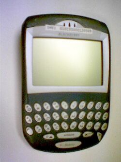 Blackberry Quark.jpg