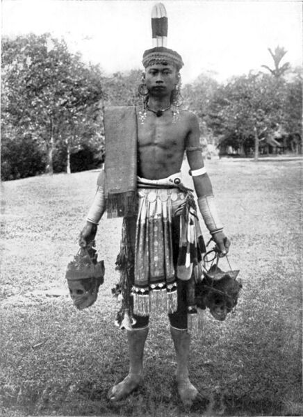 File:COLLECTIE TROPENMUSEUM Portret van een Dajak krijger op Borneo met twee van hoofddeksels voorziene schedels in zijn handen en een kleed over zijn schouder TMnr 60043379.jpg