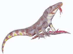 Chasmatosuchus1DB.jpg