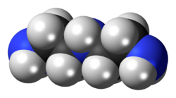 Diethylenetriamine-3D-spacefill.png