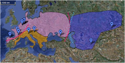 Neanderthal genetic subgroups.png