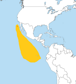 Oceanodroma cheimomnestes dist.png