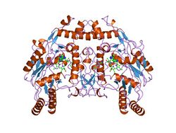 PDB 2nse EBI.jpg