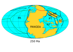 Pangea assembly 250.png