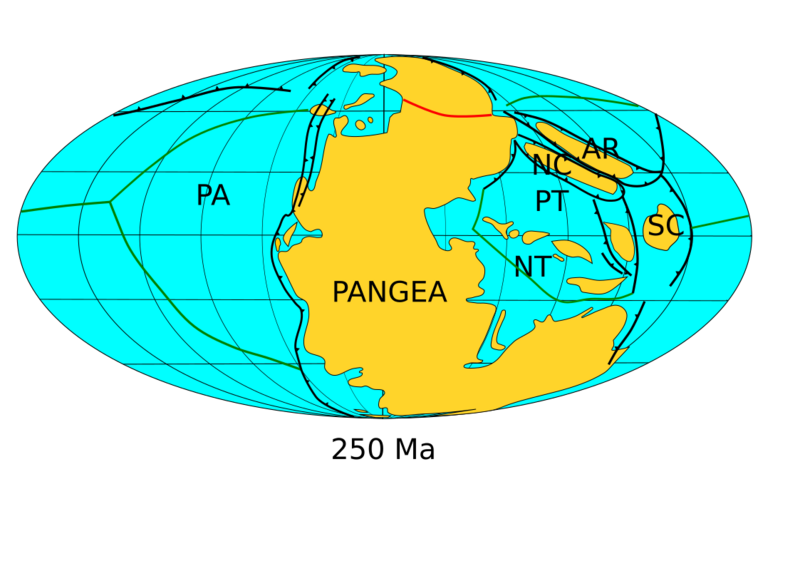 File:Pangea assembly 250.png