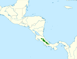 Ptiliogonys caudatus map.svg