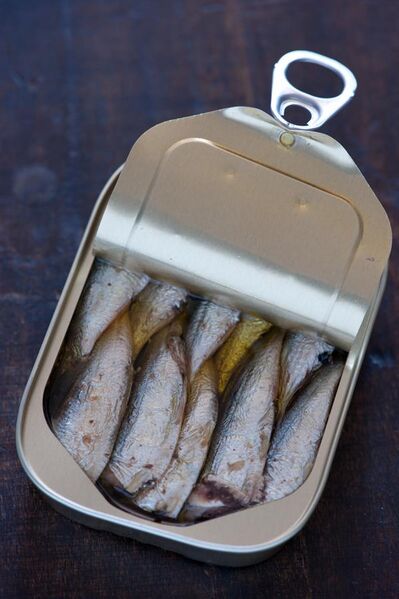 File:Sardines in a can.jpg
