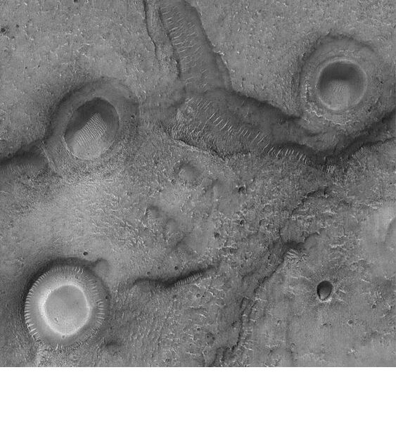 File:White craters in Mare Acidalium.JPG