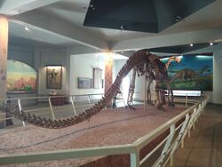 160-million-year-old mounted dinosaur skeleton.jpg