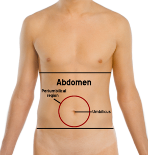 Abdomen-periumbilical region.png