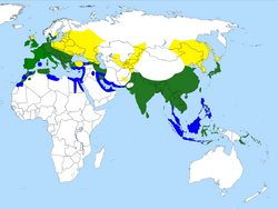 Alcedo atthis -range map-2-cp.png