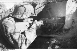 Bundesarchiv Bild 101I-455-0013-37, Russland, Scharfschütze im Graben.jpg