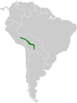 Chiroxiphia boliviana map.svg