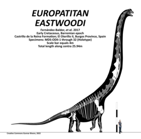 Europatitan eastwoodi Skeletal.png