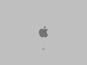Mac OS X startup screen.png