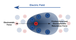 Motion by electrophoresis of a charged particle.svg