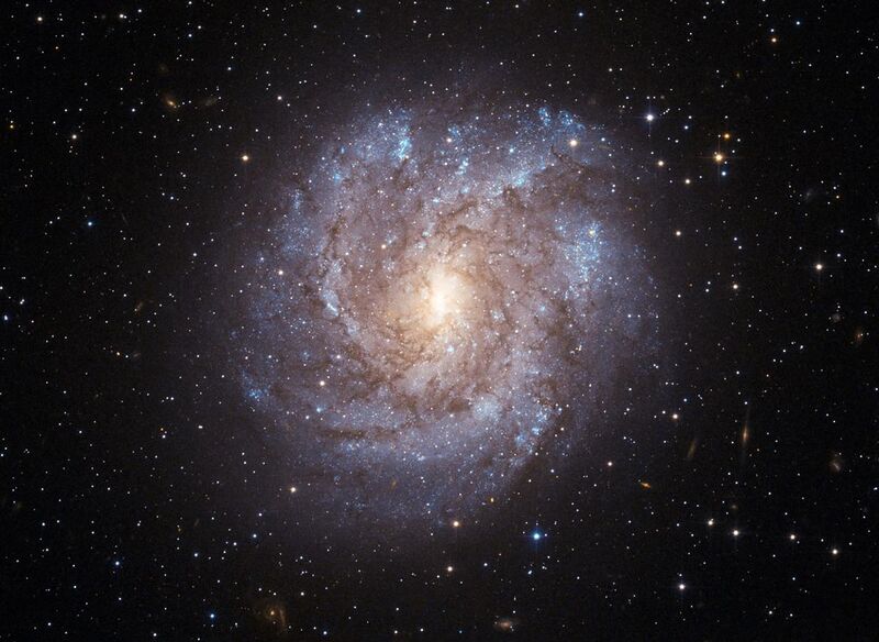 File:NGC 2082.jpg