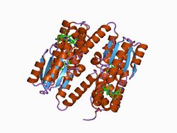 PDB 1bmt EBI.jpg