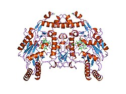 PDB 8nse EBI.jpg