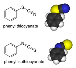 PhSCN-PhNCS-comparison.png