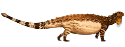 Pinacosaurus Jack Wood 2017.png