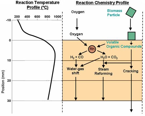 RFV reactor profile.jpg