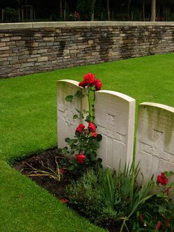 Roses growing in front of graves, Menin Road South Military cemetery 977687052.jpg