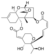 Satratoxin-H.svg