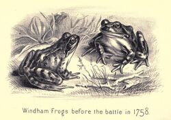 The Battle of the Frogs - Before the Battle.jpg
