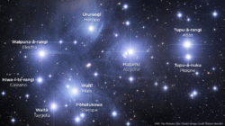 The Matariki Stars.png