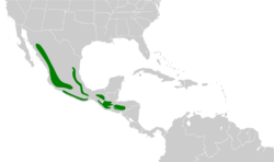 Trogon mexicanus map.svg