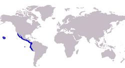 Caranx caballus distribution map.png