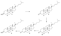 Cholestenone synthesis Ruzicka.svg