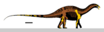 Dicraeosaurus hansemanni Skeletal Diagram.svg