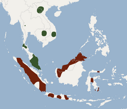 Distribution of Kerivoula papillosa.png