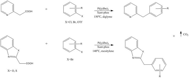Formation of sp3C-heteroaromatics by Shang et al. 2010
