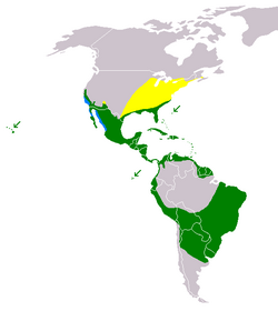 Gallinula galeata distribution map.png