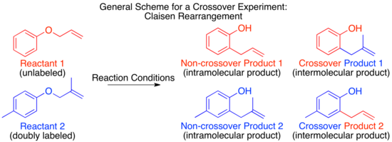 General Crossover Experiment Scheme Claisen.png