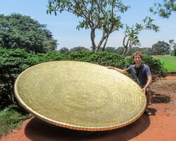 Human-sized golden disc of Matrimandir.jpg